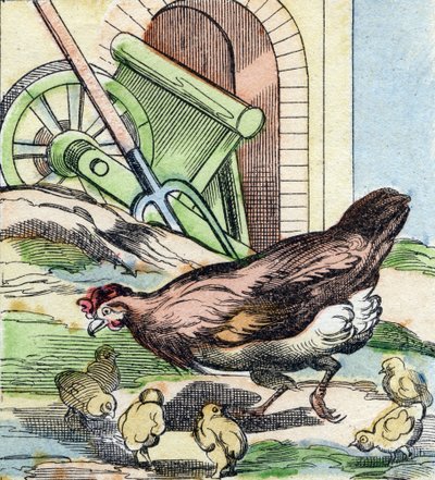 Csirke és csibék. Metszet "Buffon Alphabet des Oiseaux n 2". 3. Serie N 2. Epinal képalkotása, Epinal, 19. század vége. 16 oldal. Mérete: 28x21 cm alkotó: French School