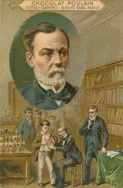 Csokoládé Poulain kereskedelmi kártya, Louis Pasteur alkotó: French School