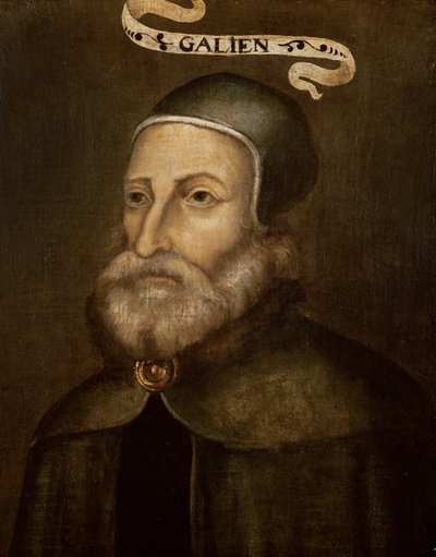 Claudius Galen (kb. 130-kb. i.sz. 201) alkotó: French School