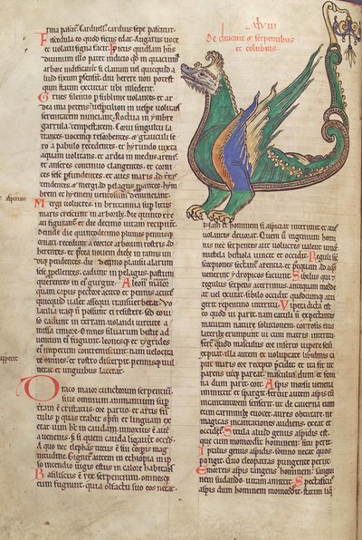 Tőkehal. Guelf. 1 Gud. lat. 40v, szöveg egy sárkányt ábrázoló illusztrációval, a Liber Floridusból, Lambert de Saint-Omer c.1120 alkotó: French School