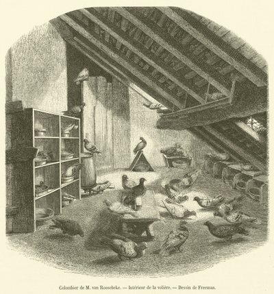 Colombier de M van Roosebeke, Interieur de la aviary (metszet) alkotó: French School