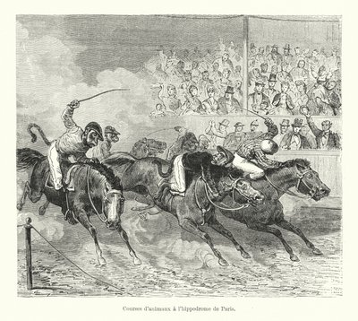 Állatverseny a párizsi hippodromban (metszet) alkotó: French School