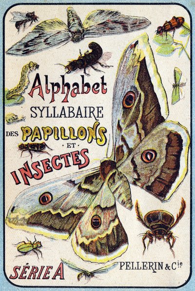 "A lepkék és rovarok szótagábécéje" borítója. Serie A. Pellerin et Cie, nyomdászok-kiadók, Epinal, 19. század vége. Kromolitográfia. Kis 8 oldalas reklámalbum, amely szótagot és képanyagot tartalmaz leíró szövegekkel kísérve. D alkotó: French School