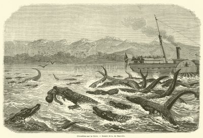 Crocodiles on the Chire (metszet) alkotó: French School