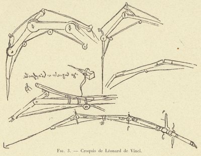 Leonardo da Vinci vázlata alkotó: French School