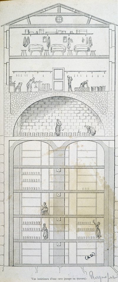 Csésze egy pince Roquefortban alkotó: French School