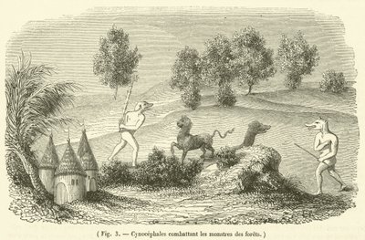 Erdei szörnyekkel küzdő cynocephales (metszet) alkotó: French School