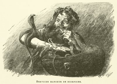 Dervish Eater Of Scorpions (metszet) alkotó: French School