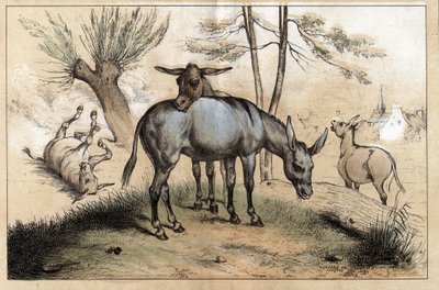 Description of the different products and uses of donkey: two donkeys in one. Detail of the board “” The donkey and its products”” in “” Les Recreations instructives”” Synoptic painting by Jules DELBRUCK, engraving from 1860. Private collection. alkotó: French School