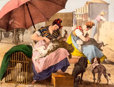 Kutyakozmetikusok, 1820 alkotó: French School