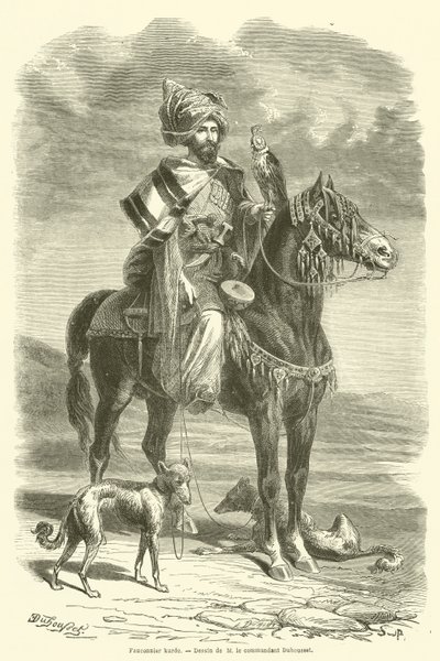 Kurd Falconer (metszet) alkotó: French School