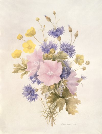 Field Flowers, 1842 (wc papíron) alkotó: French School