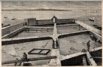 Haltenyésztés Concarneau-ban - Bretagne - Establishment de pisciculture - Concarneau - Finistere - Bretagne - "" PATRIE" vésés - FRANCIAORSZÁG KÉPES LEÍRÁSA 6 KÖTETÉSBEN LUCIEN HUARD - 19. század vége alkotó: French School