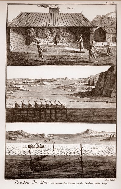 Halászat, hering és szardínia – Peches de Mer – Sorretterie des herring et des sardines – „” La Grande Encyclopédie, ou Dictionnaire Raisonne des Sciences, des Arts et des Metiers”” (Encyclopedia vagy Dictionary of the Sciences, Arts and Professions) Deni alkotó: French School