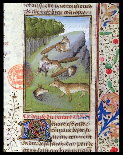 Rókák, a Livre de la Chasse-ból, Gaston Phebus alkotó: French School