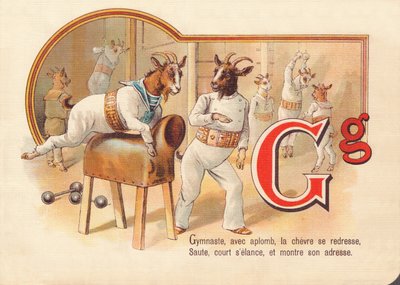 G: Tornász, aplombával, a kecske kiegyenesedik, ugrik, fut, és megmutatja ügyességét alkotó: French School