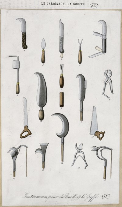 Kerti szerszámok oltáshoz és metszéshez (színes gravírozás) alkotó: French School