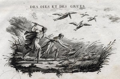 Liba és darvak – Fable d