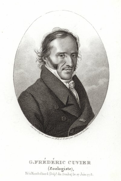 George Cuvier alkotó: French School