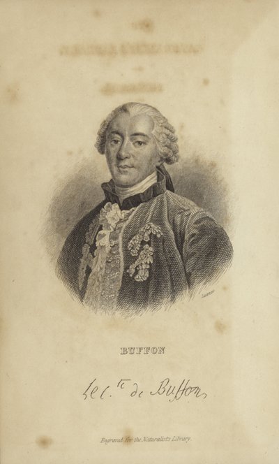 Georges-Louis Leclerc, Buffon grófja alkotó: French School