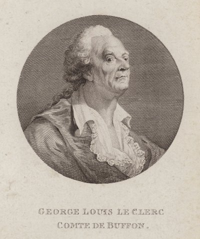 Georges-Louis Leclerc, Comte de Buffon, francia természettudós (metszet) alkotó: French School