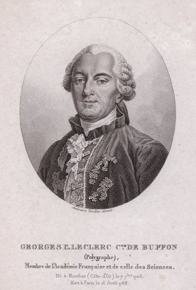 Georges-Louis Leclerc, Comte de Buffon, francia tudós és író (metszet) alkotó: French School