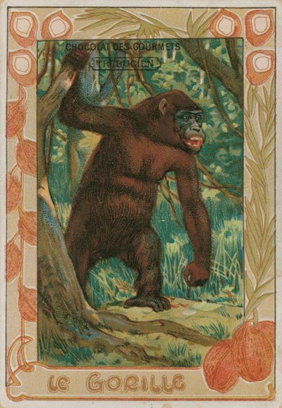 Gorilla alkotó: French School