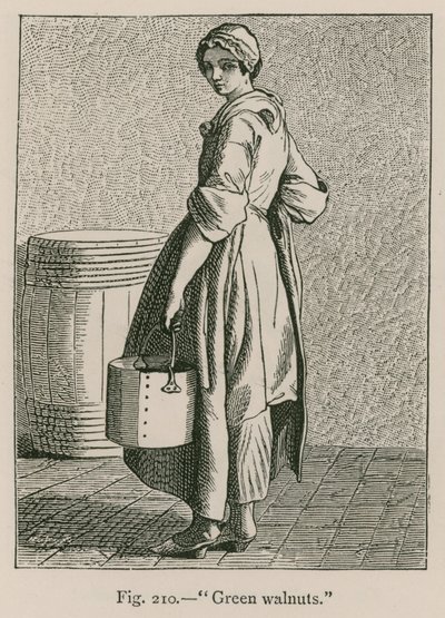 Zöld dió alkotó: French School
