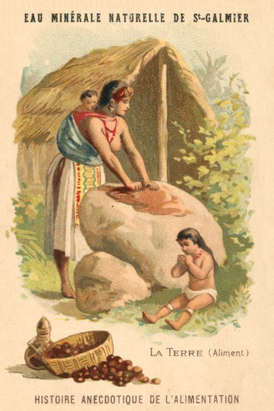 Darált dió (chromolitho) alkotó: French School