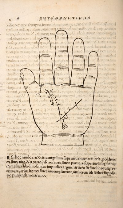 Illusztráció a Chiromantiából, Joannes Indagioe, Strasbourg, 1531 (nyomtatás és metszet) alkotó: French School