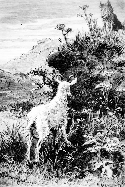 Illusztráció: Mr. Seguins Goat, Alphonse Daudet alkotó: French School
