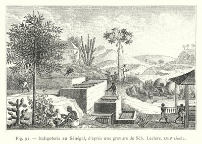 Indigoterie Szenegálban, Seb, Leclerc metszete után, 17. század (metszet) alkotó: French School
