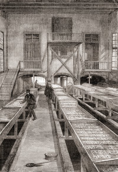 Egy 19. századi halgazdaság belseje a franciaországi Huningue-ben, a Les Merveilles de la Science-ből, 1870 körül megjelent (metszet) alkotó: French School