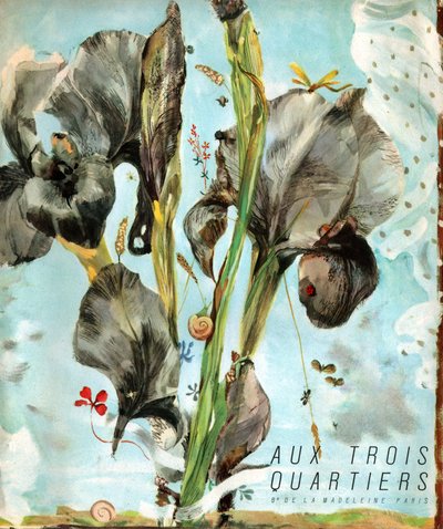 Írisz (virág). (Illusztráció, 1920 körül) alkotó: French School