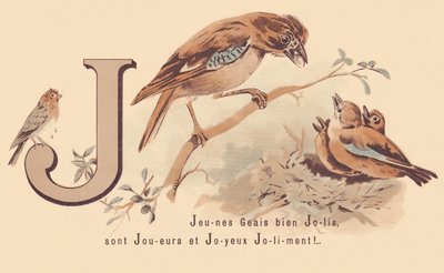 J: A fiatal Jays Pretty játékosok és boldog Jolily! alkotó: French School