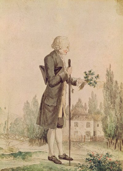 Jean-Jacques Rousseau (1712-78) Gyógynövényeket gyűjt Ermenonville-ben alkotó: French School