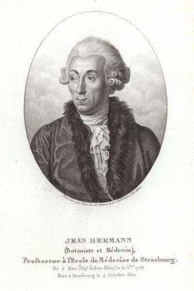 Jean Hermann alkotó: French School