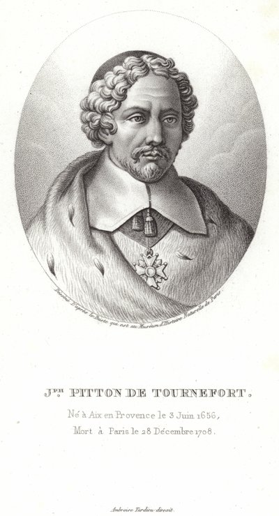 Joseph Pitton de Tournefort alkotó: French School