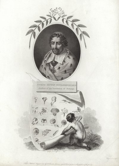 Joseph Pitton de Tournefort alkotó: French School