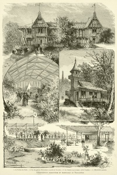 Erdészeti és kertészeti kiállítás a Trocaderoban (metszet) alkotó: French School