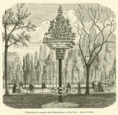A verebek háza a Madison Square-en, New Yorkban (metszet) alkotó: French School