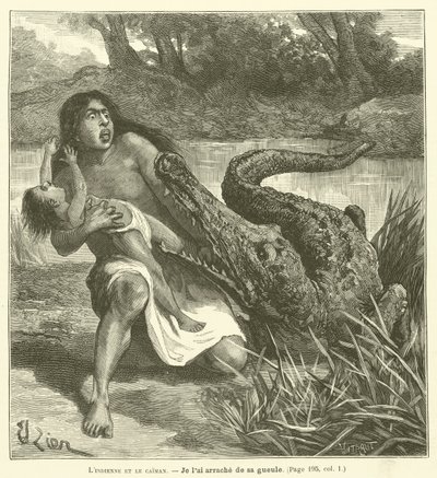 Az indián és a kajmán (metszet) alkotó: French School