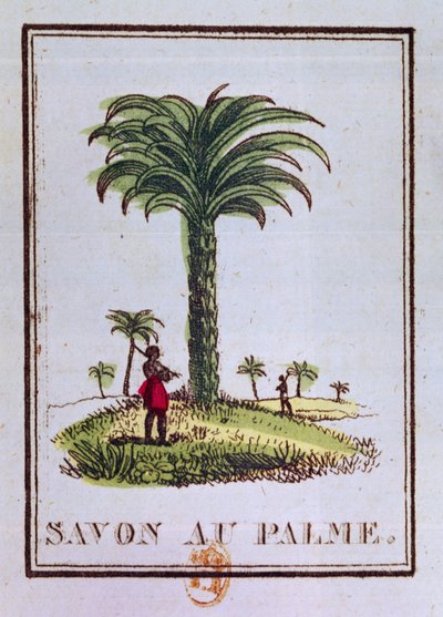 Címke pálmaolaj illatú szappanhoz, amely pálmafát ábrázol alkotó: French School