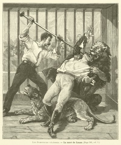 A Tamer Lucas alkotó: French School