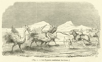 A darvakkal harcoló pigmeusok (metszet) alkotó: French School