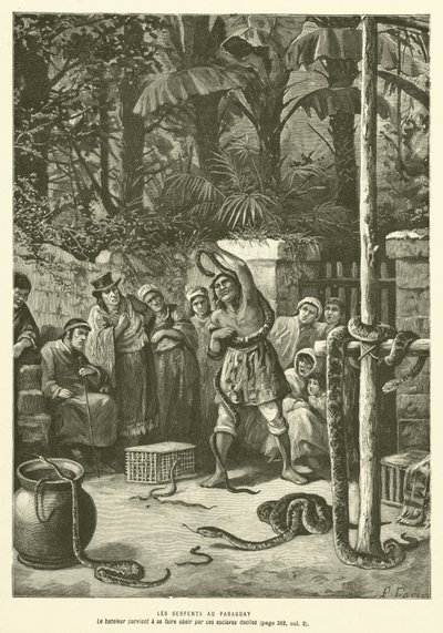 A kígyók Paraguayban (metszet) alkotó: French School