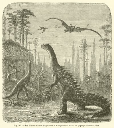 A dinoszauruszok, a Stegosaurus és a Compsonote, Araucariae táján (metszet) alkotó: French School