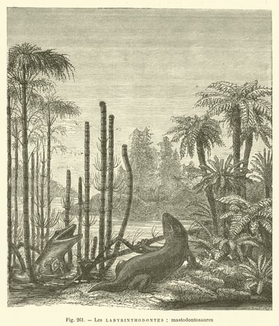 Les labyrinthodontes, mastodontosaures (metszet) alkotó: French School