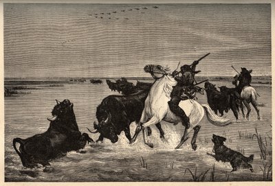 A camargue ökrei (szarvasmarhafajta) a vayson festménye után - vésés „” PATRIE” - vésés „” PATILE”” - LEÍRÁS PINTUREQUIRESSE DE LA FRANCE 6 KÖTETÉSBEN LUCIEN HUARD - 19. század vége alkotó: French School