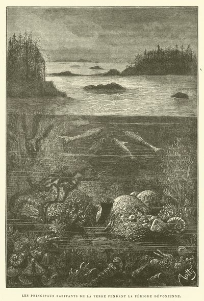 A Föld fő lakói a devon korszakban (metszet) alkotó: French School